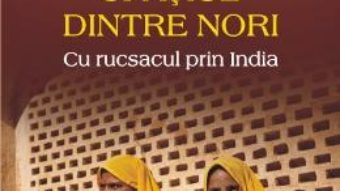 Cartea Spatiul dintre nori. Cu rucsacul prin India – Desiree Halaseh (download, pret, reducere)