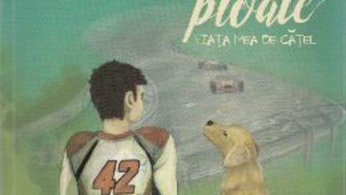 Pilotand in ploaie. Viata mea de catel – Garth Stein PDF (download, pret, reducere)