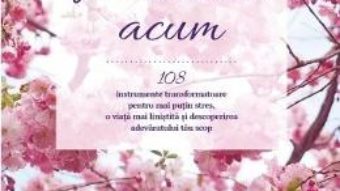 Pret Carte Miracole acum – Gabrielle Bernstein