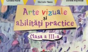 Pret Carte Arte vizuale si abilitati practice cls 3 – Camelia Hoara