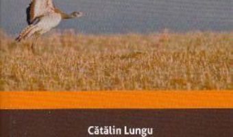 Cartea Povestiri din vremea dropiei… – Catalin Lungu (download, pret, reducere)