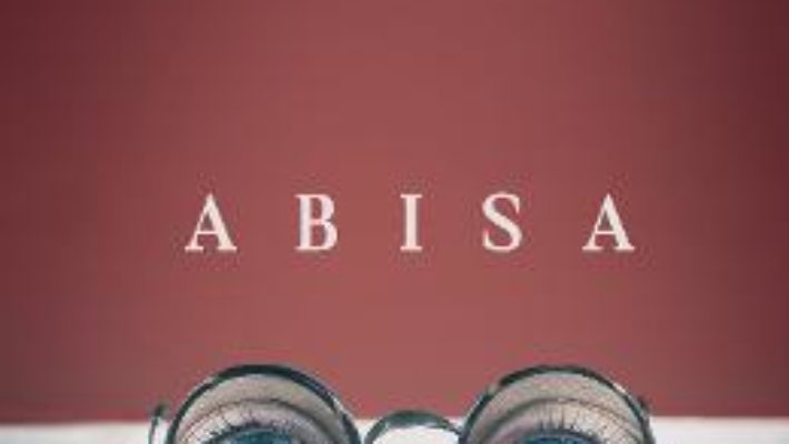 Download  Abisa – Iulian Tanase PDF Online