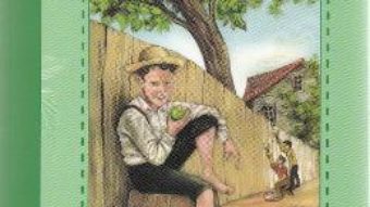 Download  Aventurile lui Tom Sawyer – Mark Twain PDF Online