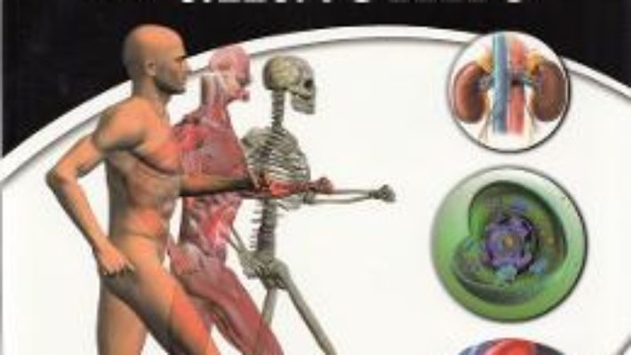 Download  Atlas de anatomie – Irina Paller PDF Online