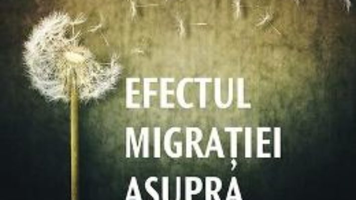 Download  Efectul migratiei asupra securitatii Romaniei si a Europei – Anghel Andreescu, Dan Andreescu, Dan Bardas PDF Online