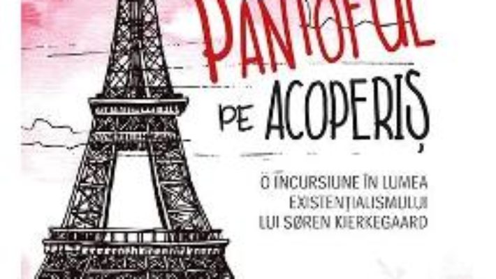 Download  Pantoful pe acoperis – Vincent Delecroix PDF Online