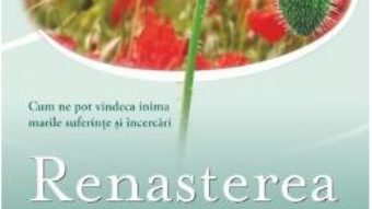 Download  Renasterea interioara – Elizabeth Lesser PDF Online