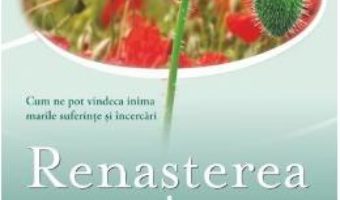 Download  Renasterea interioara – Elizabeth Lesser PDF Online