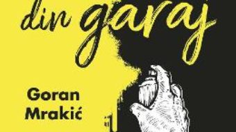 Cartea Povestiri din garaj – Goran Mrakic (download, pret, reducere)