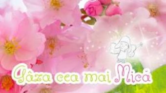 Cartea Gaza cea mai mica – Ali J. (download, pret, reducere)