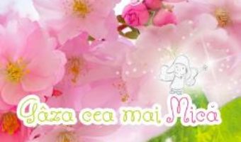 Cartea Gaza cea mai mica – Ali J. (download, pret, reducere)