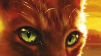 Cartea Pisicile Razboinice vol.12: Apus de soare – Erin Hunter (download, pret, reducere)