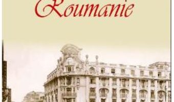 Download  Breve Histoire de la Roumanie – Ion Bulei PDF Online