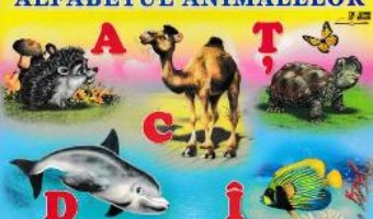 Cartea Alfabetul animalelor (download, pret, reducere)