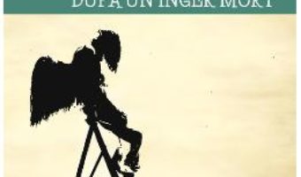 Download  Apocalipsa dupa un inger mort – Carmen Stefania Luca PDF Online