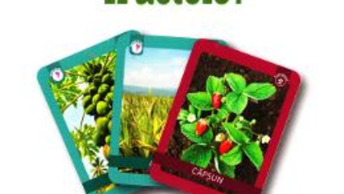 Cartea Unde cresc fructele? 3 ani+ (Eduflash) (download, pret, reducere)