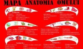 Cartea Mapa anatomia omului – Mariana Bodea (download, pret, reducere)