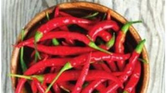 Cartea Cartea de foc a ardeilor chilli – David Floyd (download, pret, reducere)