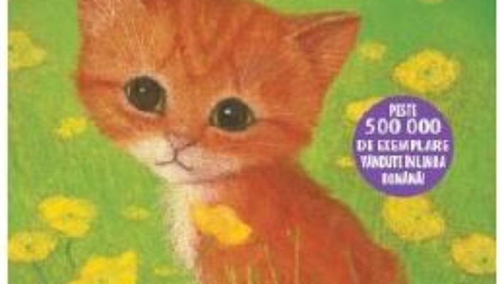 Cartea Roscovana, o pisicuta a nimanui – Holly Webb (download, pret, reducere)