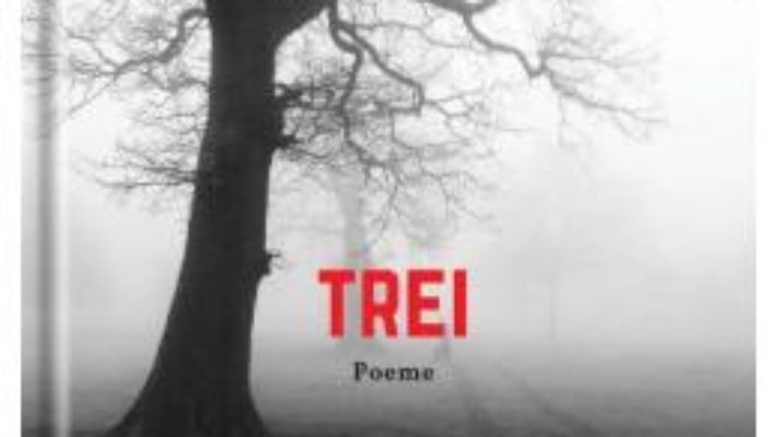 Cartea Trei – Roberto Bolano (download, pret, reducere)