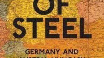 Cartea Ring of Steel : Germany and Austria-Hungary at War, 1914-1918 – Alexander Watson (download, pret, reducere)