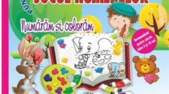 Cartea Jocul numerelor – Numaram si coloram (download, pret, reducere)