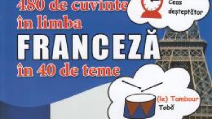 Cartea Primele mele 480 de cuvinte in limba franceza in 40 de teme (download, pret, reducere)