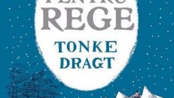 Cartea Scrisoarea pentru rege – Tonke Dragt (download, pret, reducere)