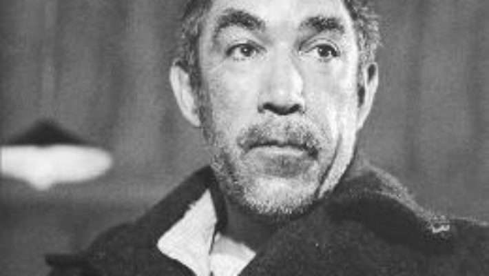 Cartea Pacatul originar – Anthony Quinn (download, pret, reducere)