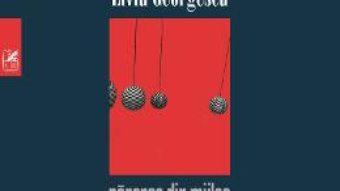 Cartea Parerea din mijloc – Liviu Georgescu (download, pret, reducere)