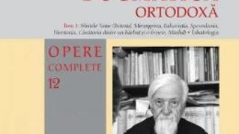 Cartea Teologia dogmatica ortodoxa. Tom 3 (Opere complete 12) – Dumitru Staniloaie (download, pret, reducere)