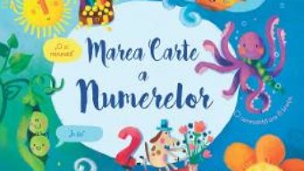 Cartea Marea carte a numerelor – Felicity Brooks, Sophia Touliatou (download, pret, reducere)