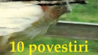 Cartea 10 povestiri + 70 si ceva de poeme – Adrian Costache (download, pret, reducere)