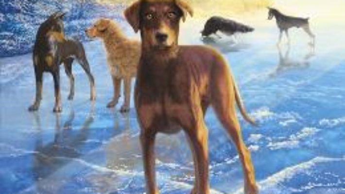 Cartea Supravietuitorii Vol.6: Furtuna cainilor – Erin Hunter (download, pret, reducere)