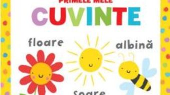 Cartea Bebe invata – Primele mele cuvinte (download, pret, reducere)