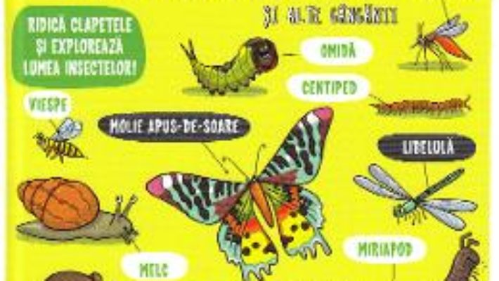 Cartea Insecte si alte ganganii – Micii exploratori (download, pret, reducere)