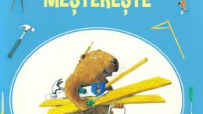 Cartea Castor mestereste – Lars Klinting (download, pret, reducere)