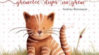 Cartea Tomita, un ghemotoc dupa un ghem – Andrea Reitmeyer (download, pret, reducere)