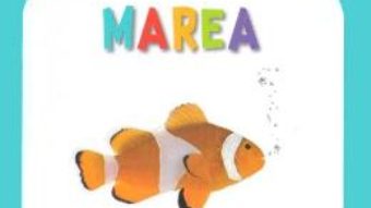 Cartea Marea – Bebe cunoaste (download, pret, reducere)