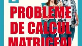 Cartea Probleme de calcul matriceal – Florin Stanescu (download, pret, reducere)