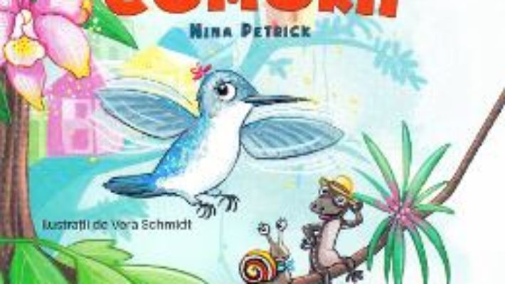 Cartea In cautarea comorii – Nina Petrick, Vera Schmidt (download, pret, reducere)