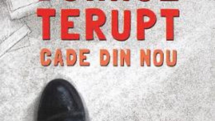 Cartea Domnul Terupt cade din nou – Rob Buyea (download, pret, reducere)