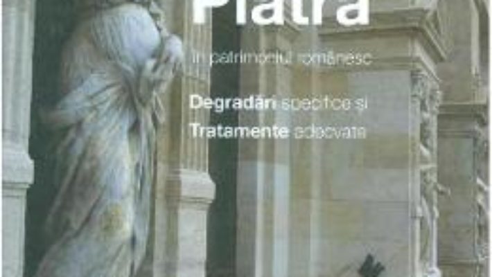 Cartea Piatra in patrimoniul romanesc. Degradari specifice si tratamente adecvate – Iulian Olteanu (download, pret, reducere)