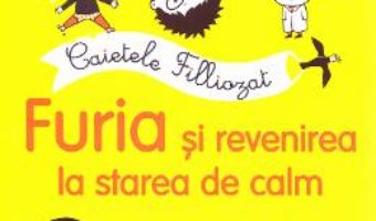 Cartea Caietele Filliozat. Furia si revenirea la starea de calm. Activitati cu autocolante – Isabellle Filliozat (download, pret, reducere)