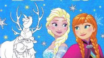 Cartea Disney Printese. Desenele mele de vis: Feerie de gheata (download, pret, reducere)