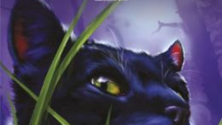 Cartea Pisicile Razboinice. Vol.15: Exilul – Erin Hunter (download, pret, reducere)