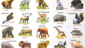 Cartea Plansa: Animale domestice – Animale salbatice (download, pret, reducere)