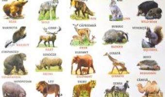 Cartea Plansa: Animale domestice – Animale salbatice (download, pret, reducere)