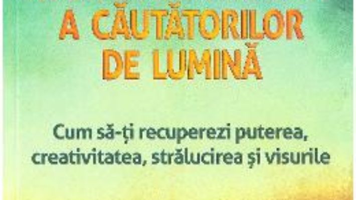 Cartea Partea intunecata a cautatorilor de lumina – Debbie Ford (download, pret, reducere)