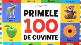 Cartea Bebe invata – Primele 100 de cuvinte (download, pret, reducere)